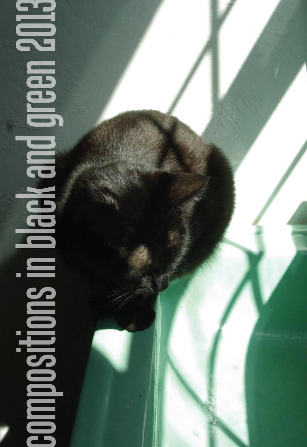 calendar cover with black cat