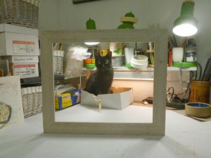 black cat in box in picture frame