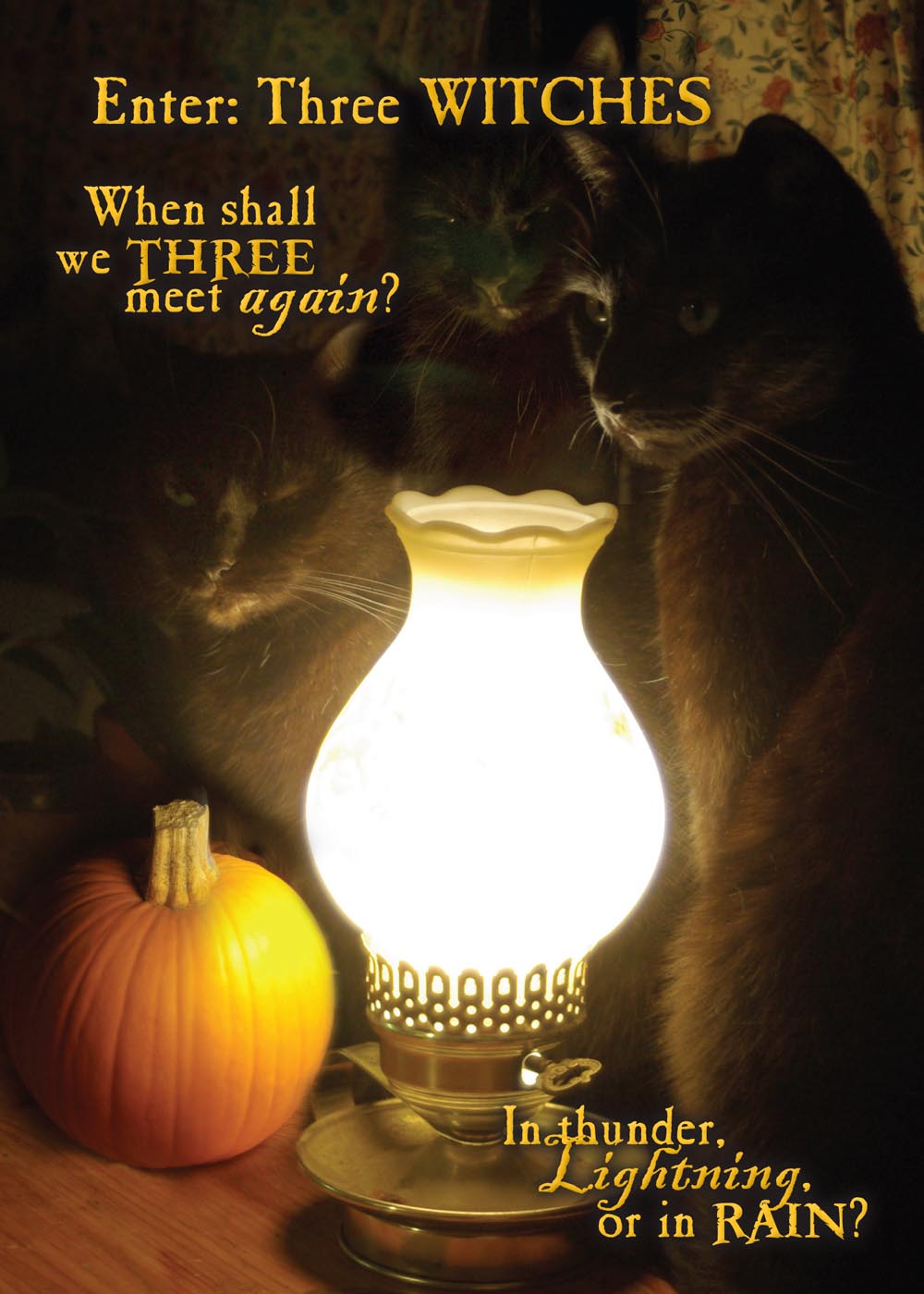 three black cats with lamp and pumpkin