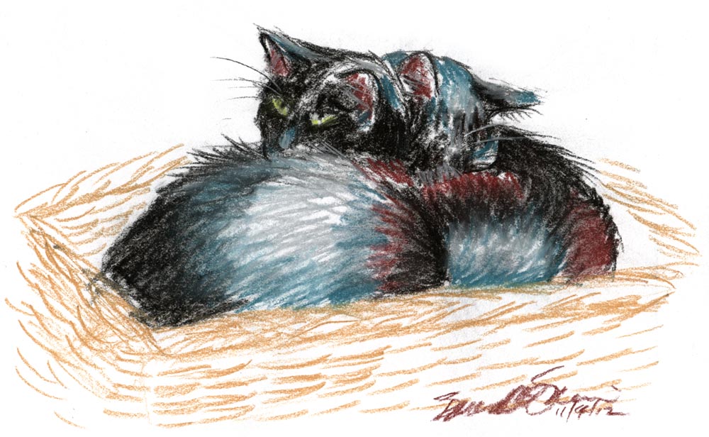 pastel sketch of two cats in a basket