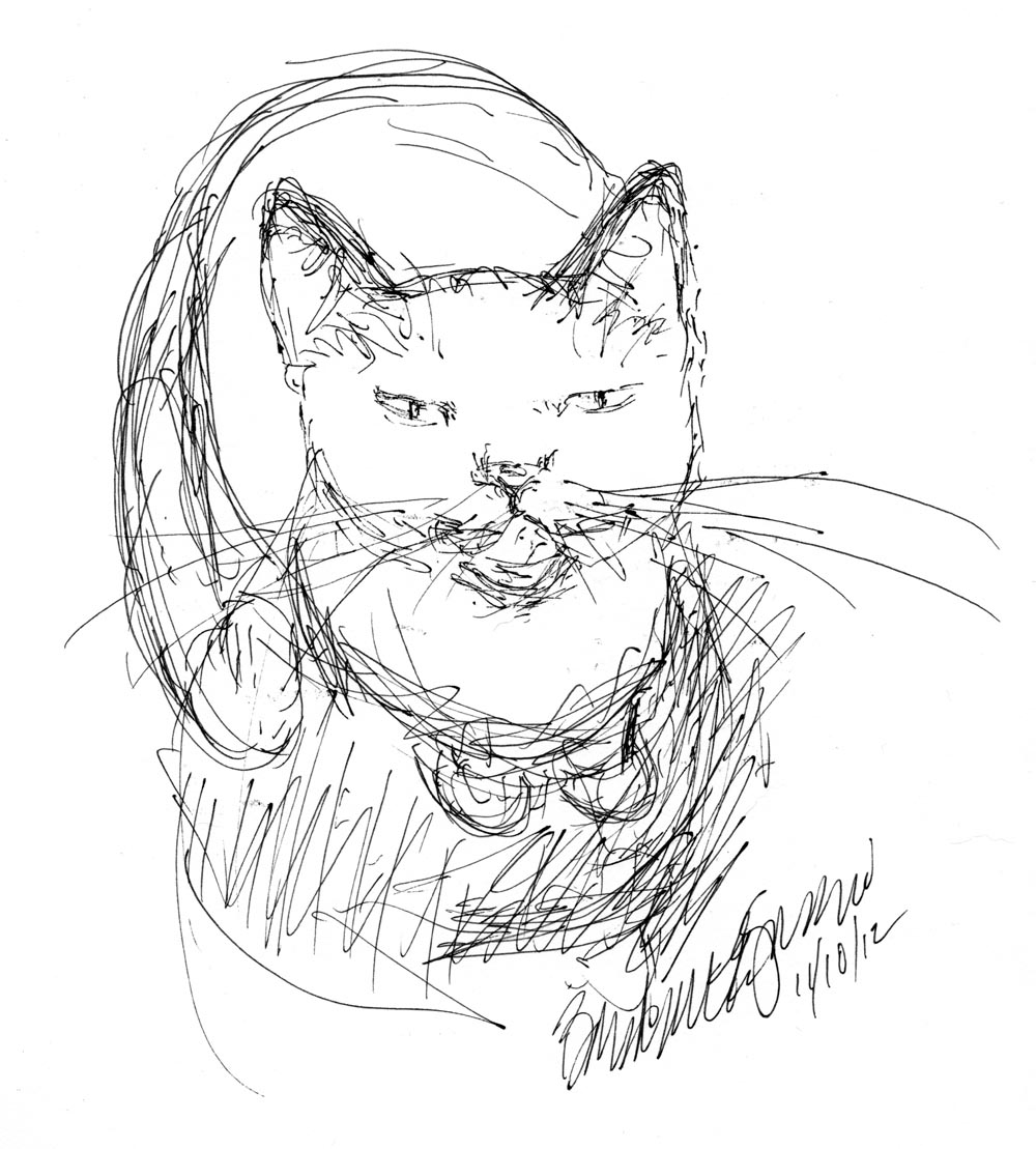 sketch of cat looking up