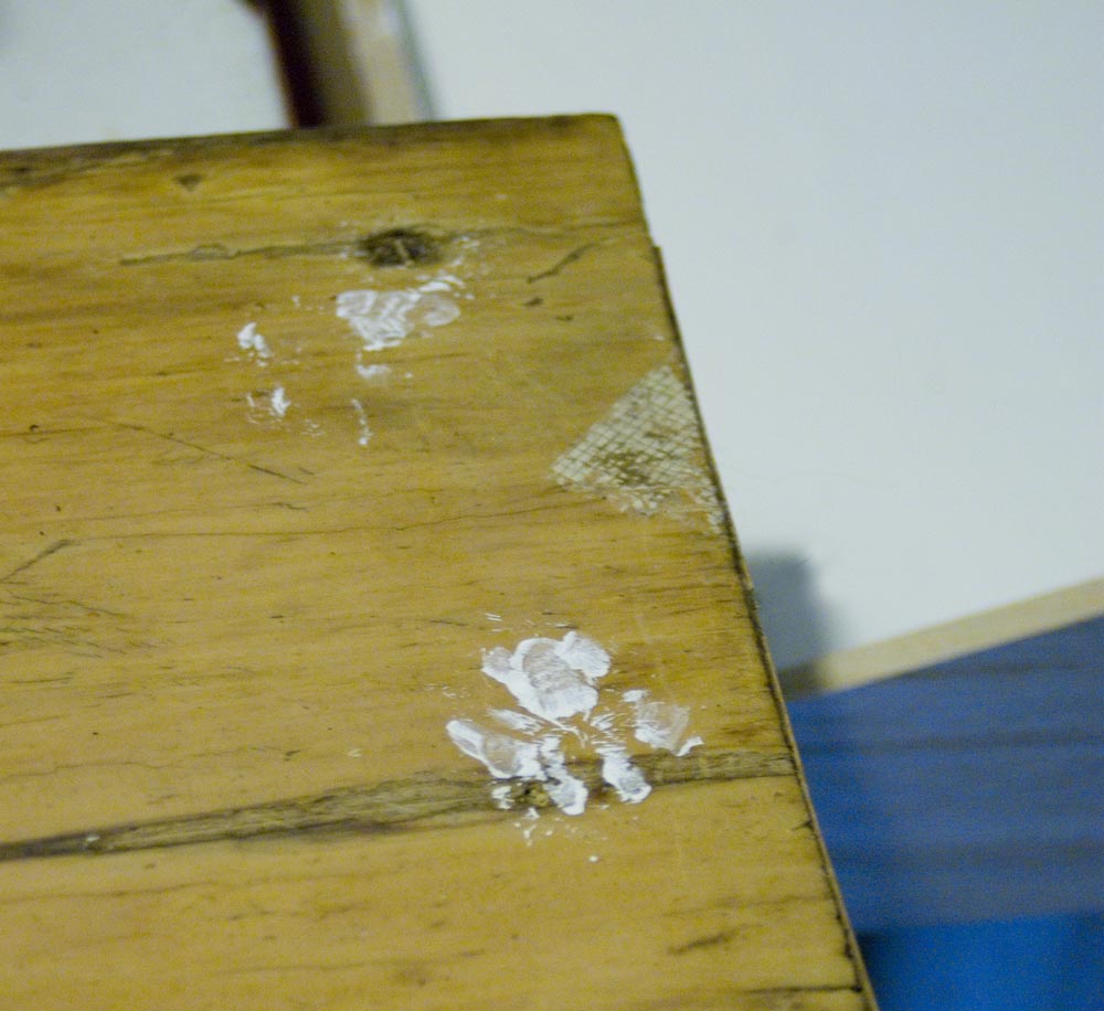 closeup of white pawprints on wood