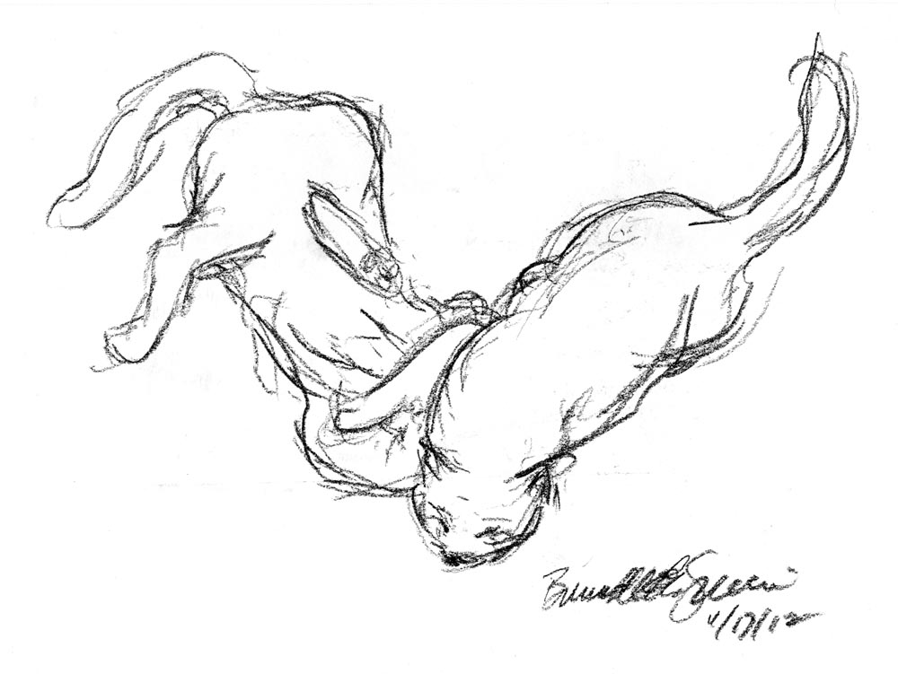 charcoal sketch of cats wrestling
