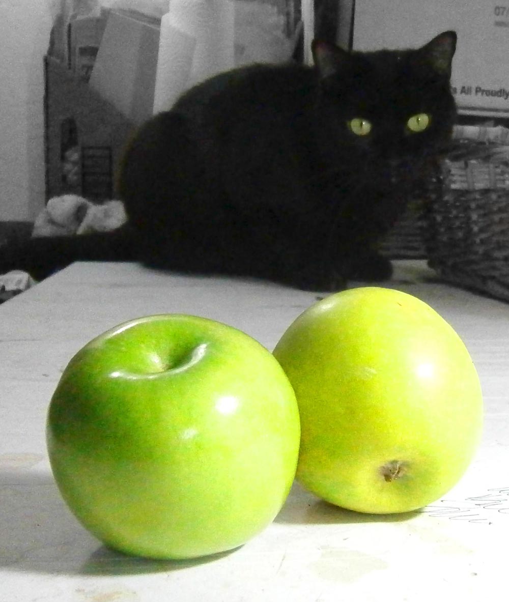 black cat looking at green apples