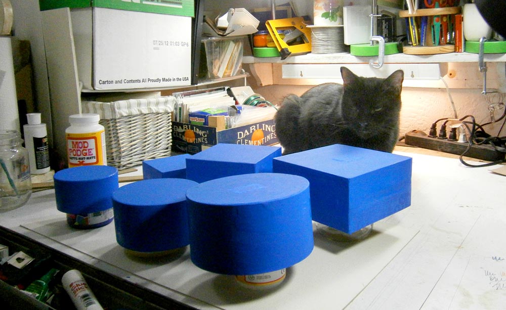 black cat with blue boxes