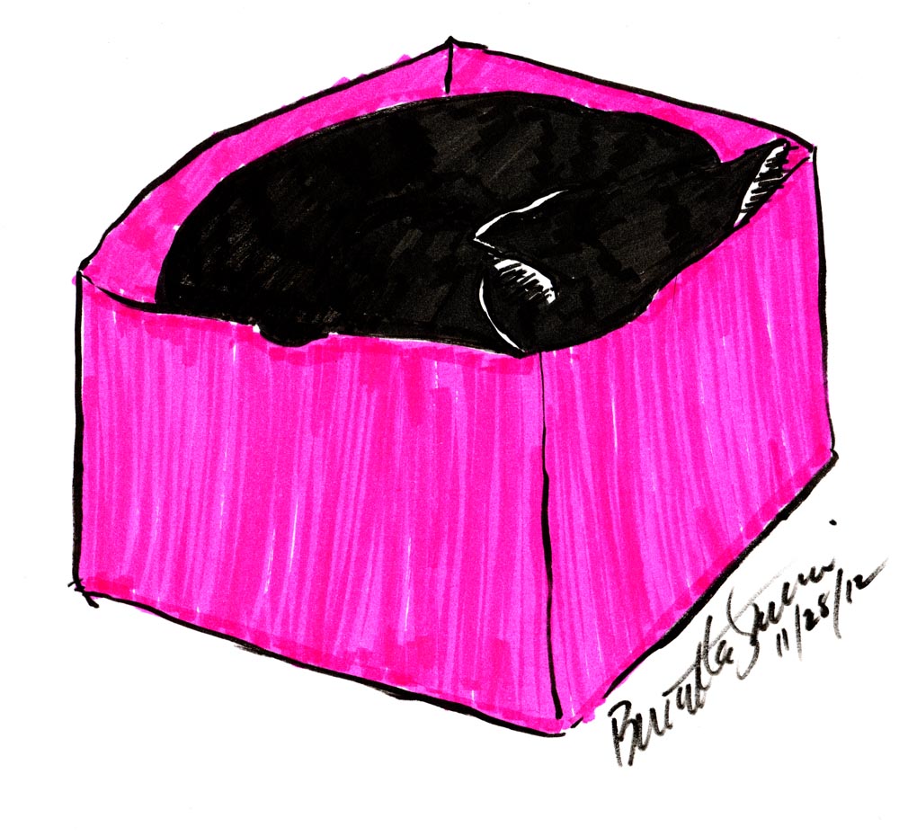marker sketch of cat in box