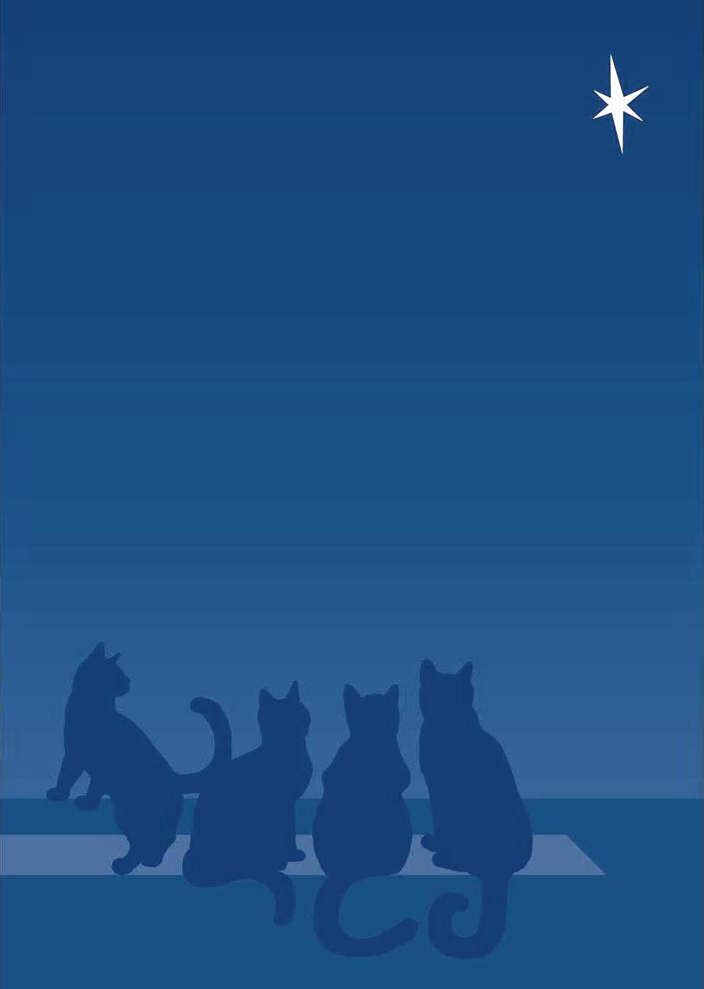holiday card featuring kittens looking at star