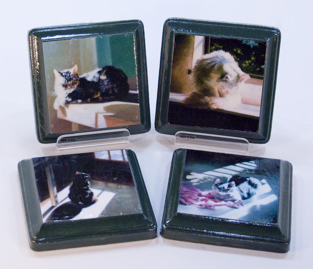 wooden coasters with cat art