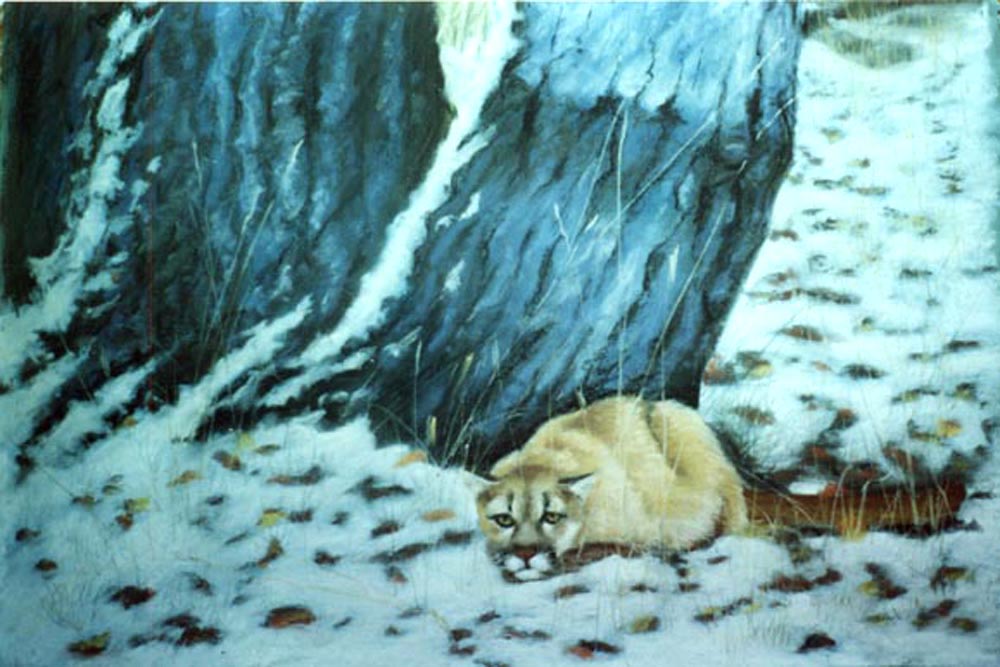 pastel painting of cougar