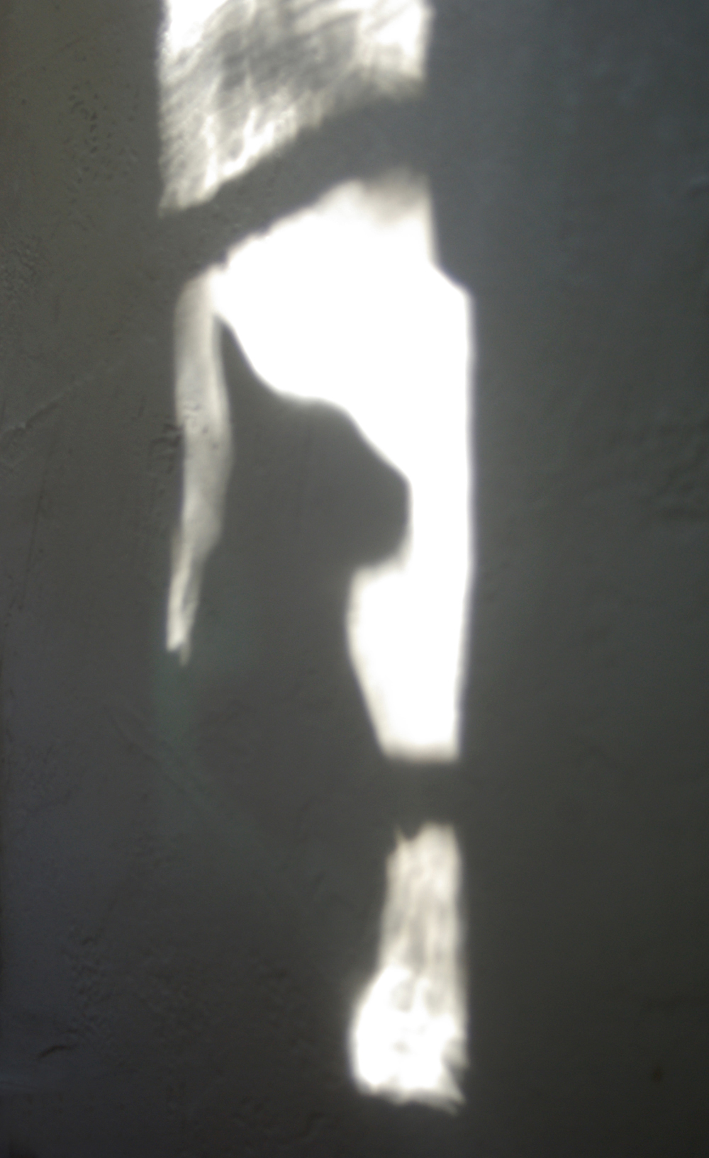 shadow of cat on wall