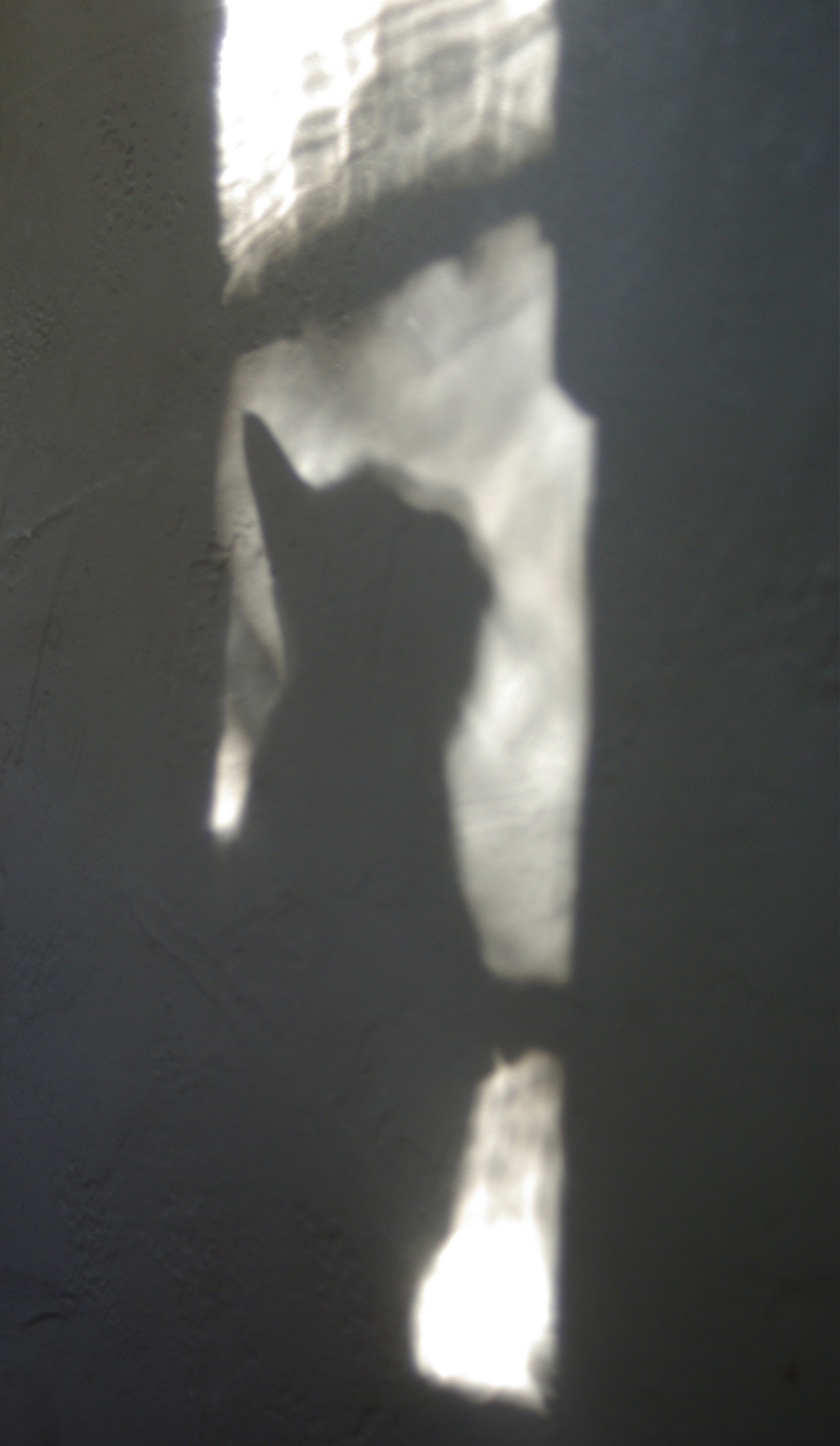 silhouette of cat on wall