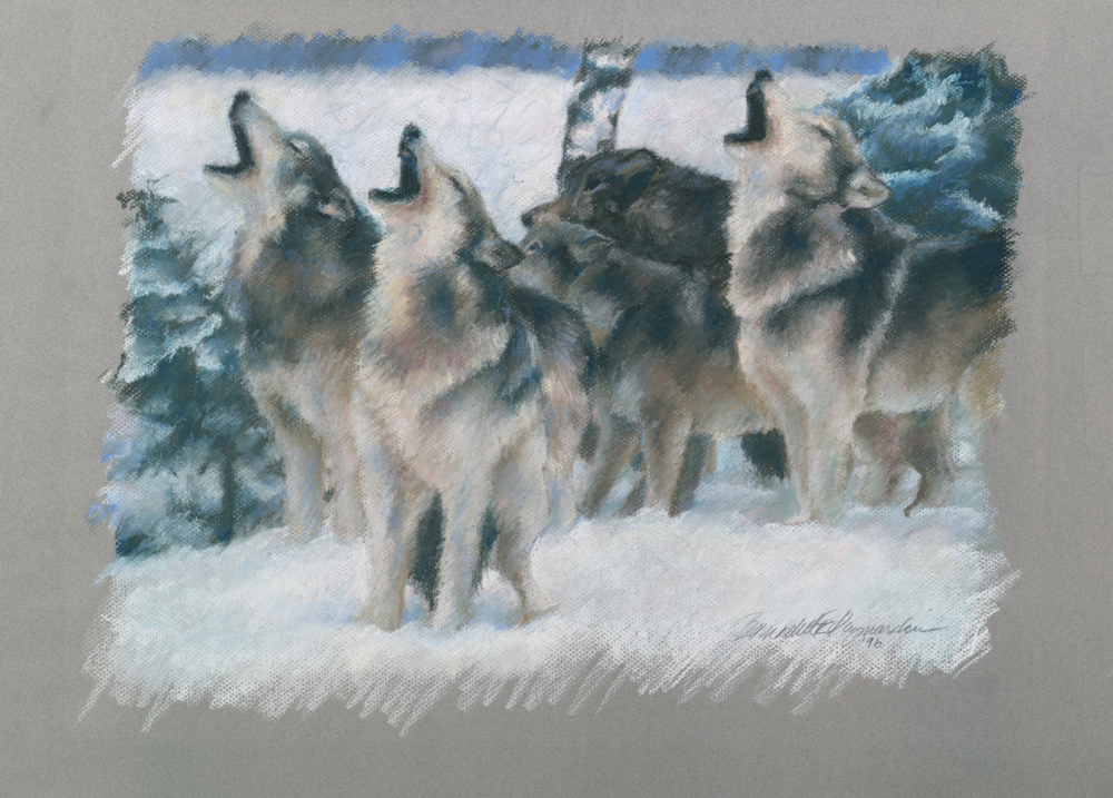 pastel painting of wolves