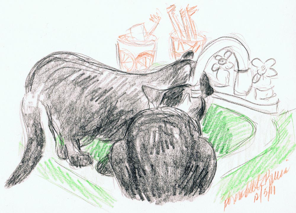 colored pencil drawing of two black cats drinking at sink