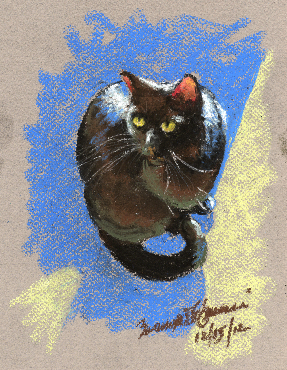 pastel sketch of black cat in sunshine