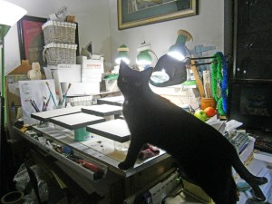 black cat looking at art stuff