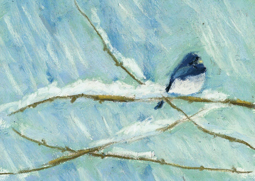 "Snow Bird", pastel, 6" x 8"