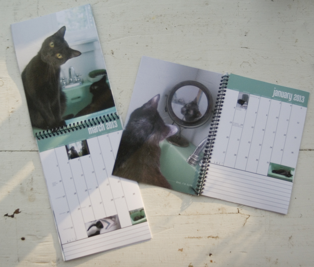 images of black cats calendar