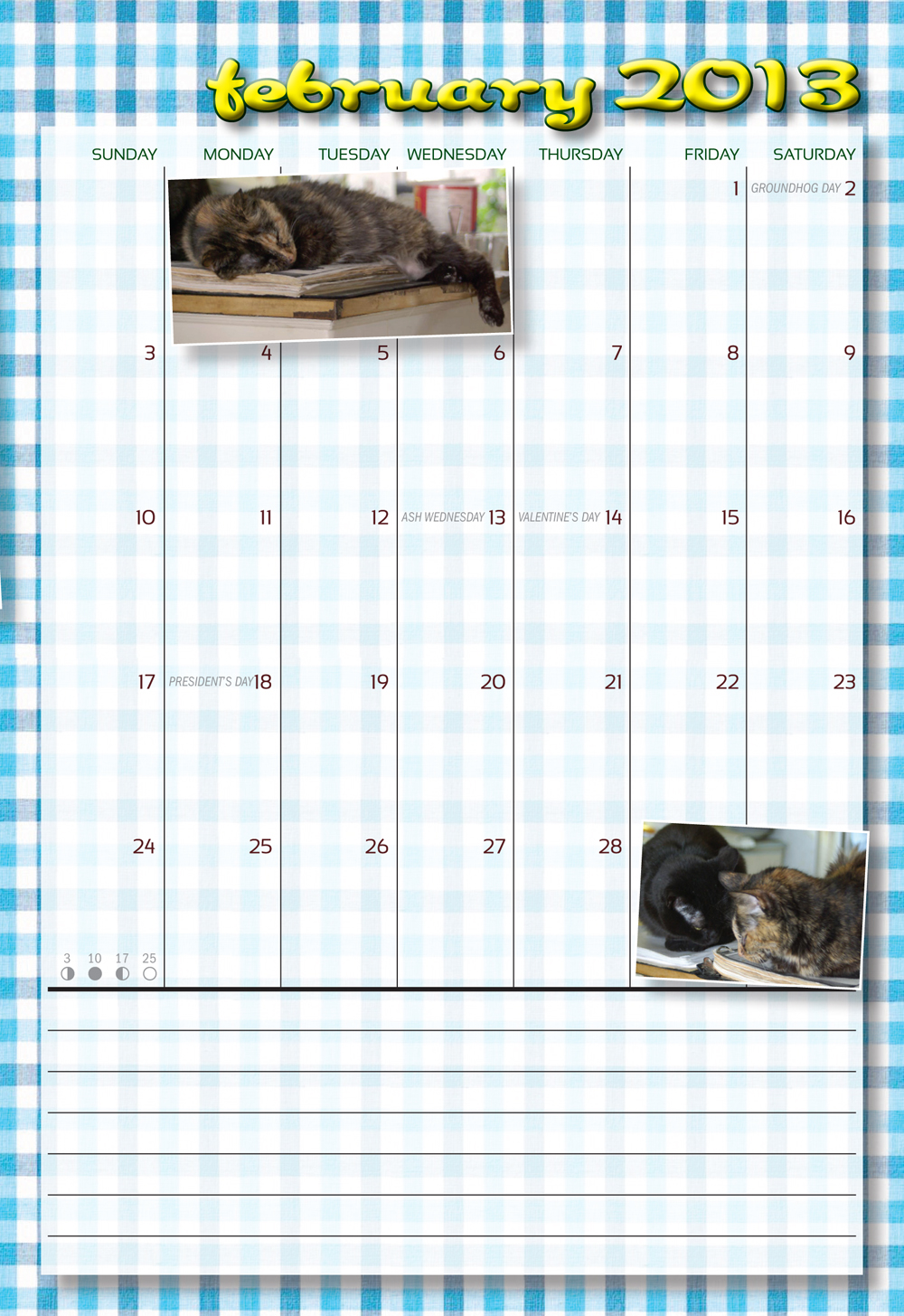 page from cat calendar