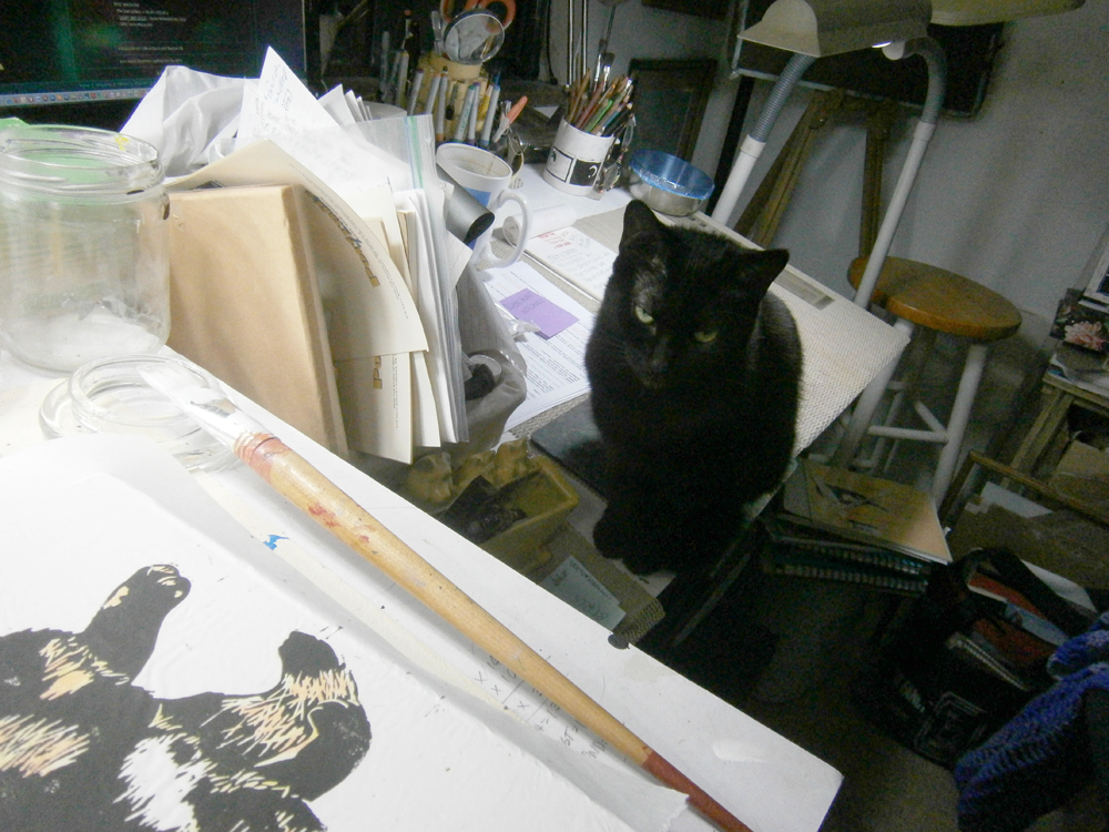 black cat watching art