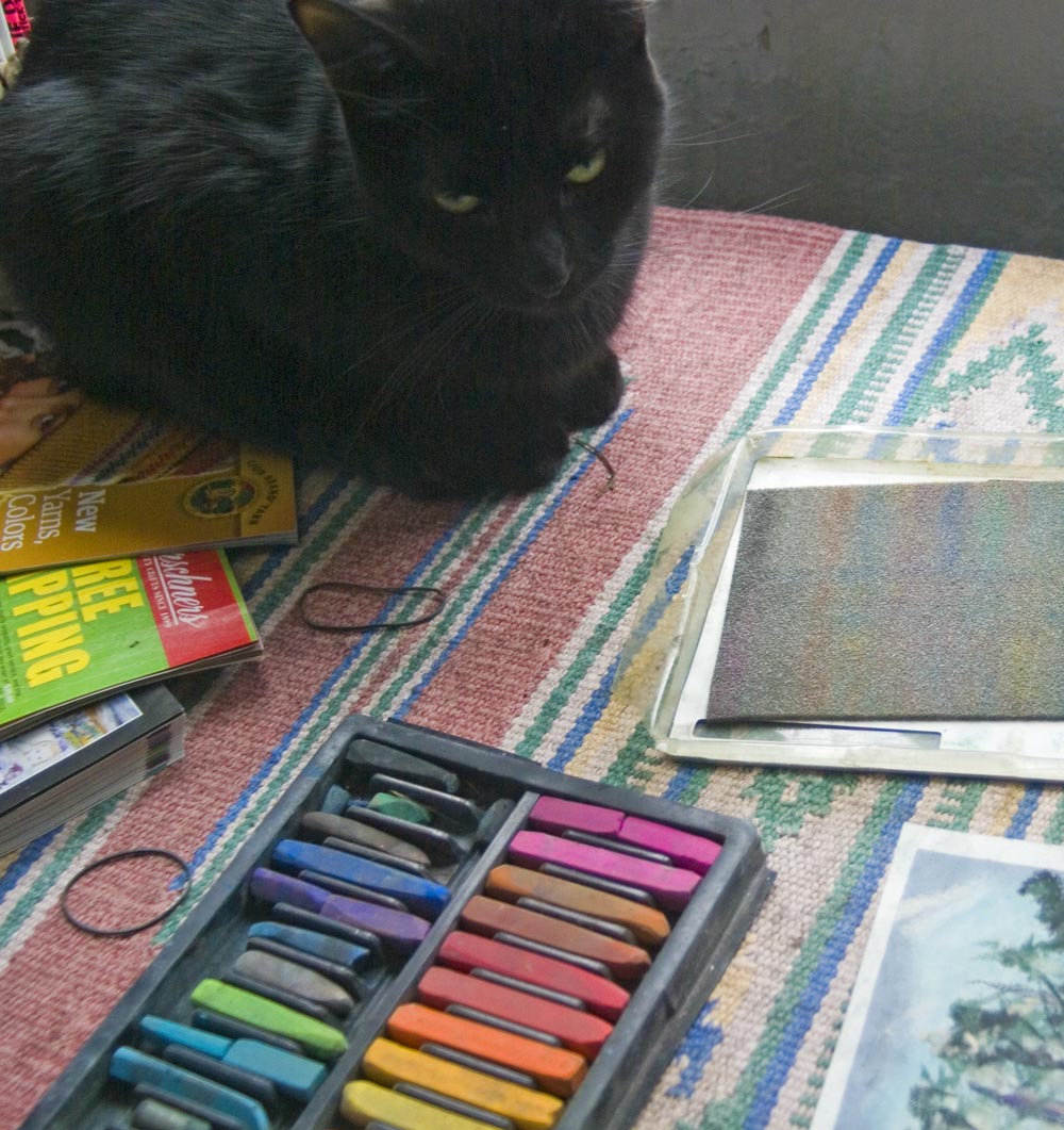 black cat with pastels