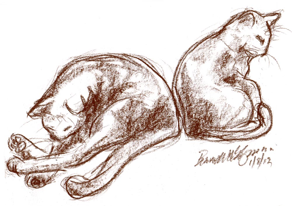 conté sketch of two cats