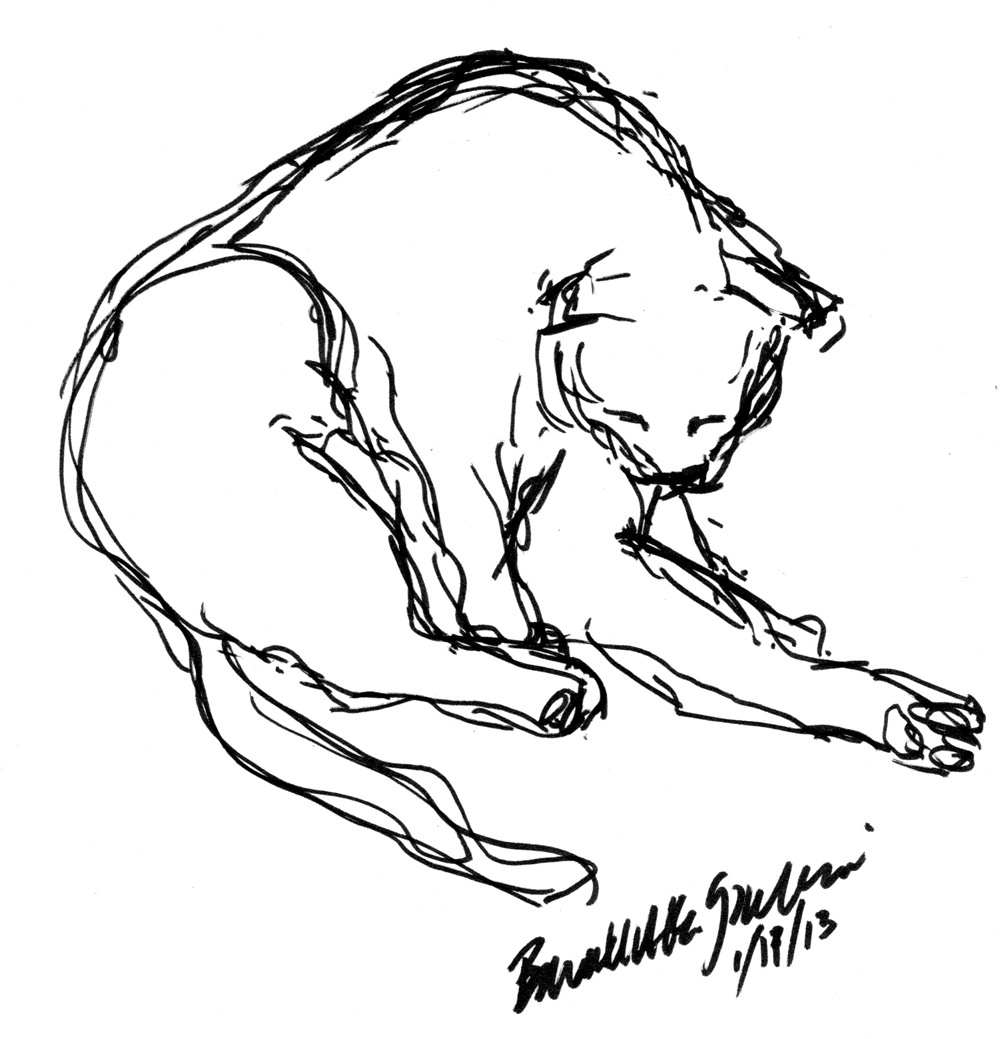 marker sketch of cat bathing
