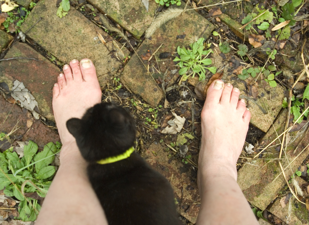black cat and bare feet