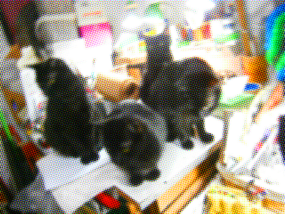 color halftone of four black cats