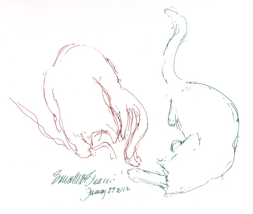pen sketch of two cats playing