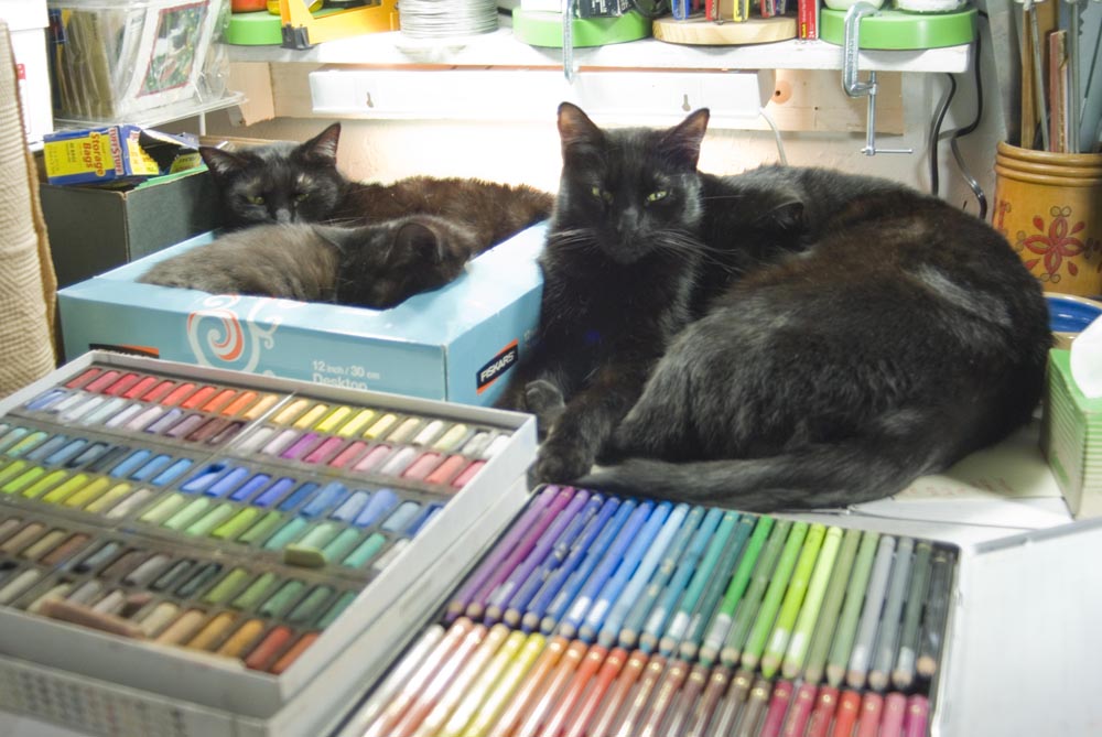 four black cats and pastels and pastel pencils