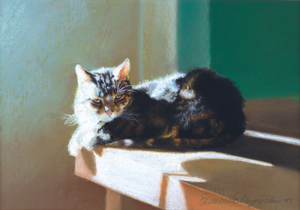 pastel painting of cat in sun