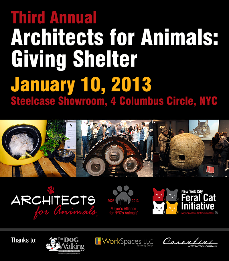 architects for animals giving shelter