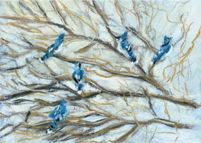 "Winter Birds" paintings holiday cards