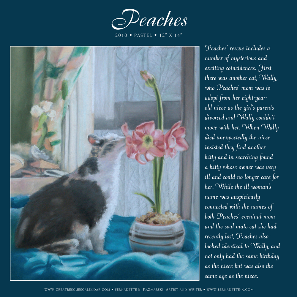 Peaches' page from "Great Rescues Day Book".