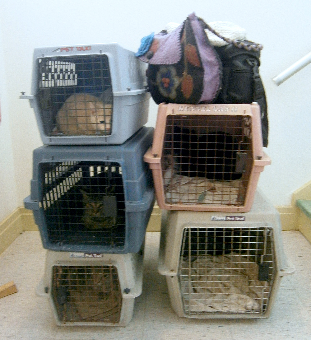 five cat carriers