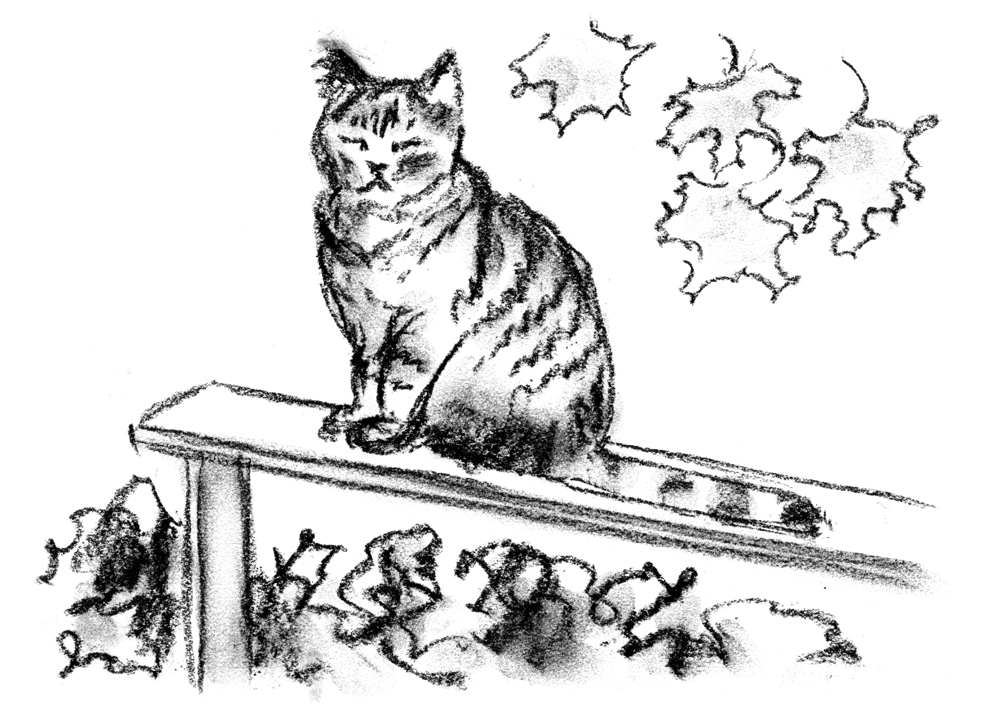 sketch of cat on railing