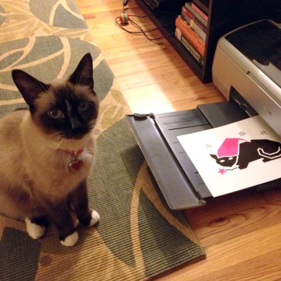 snowshoe cat with printer
