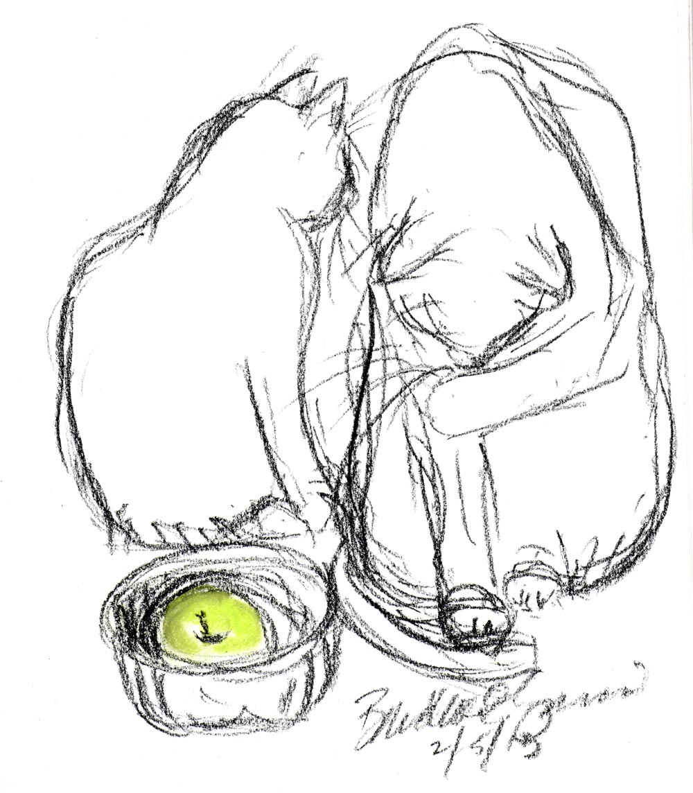 charcoal sketch of two cats with green apple in bowl
