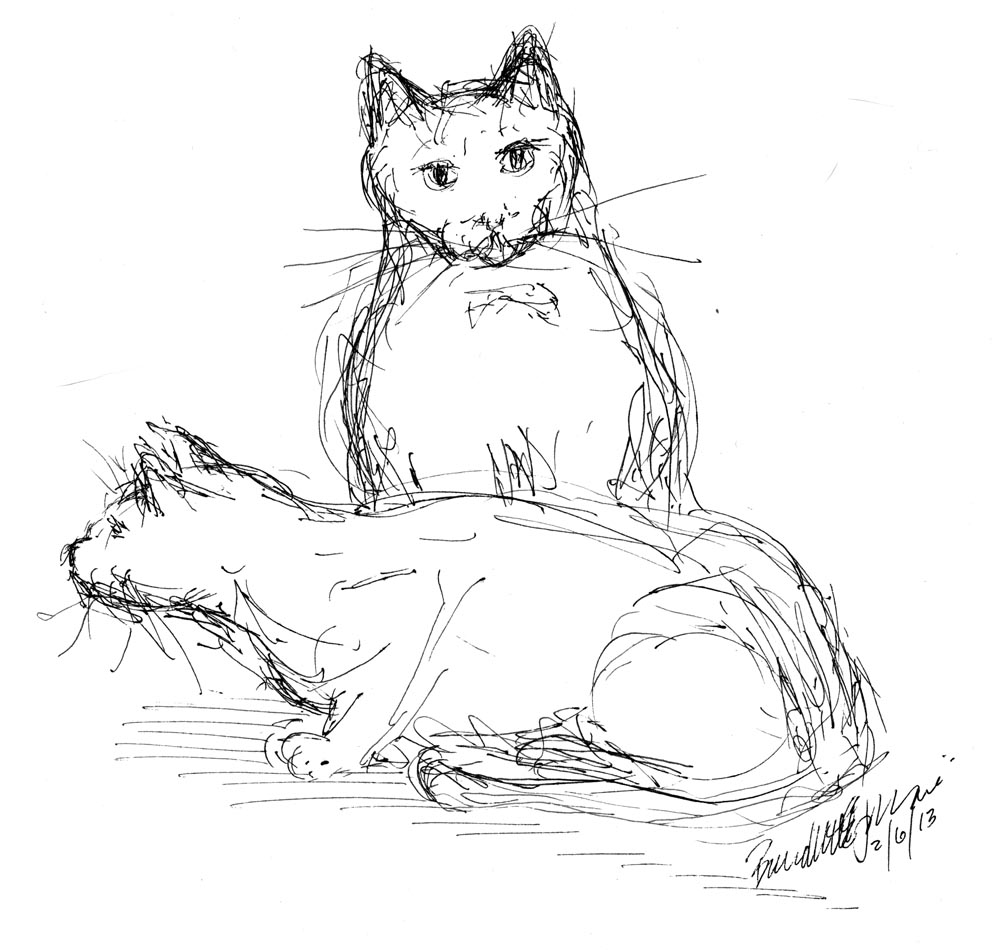 ink sketch of two cats