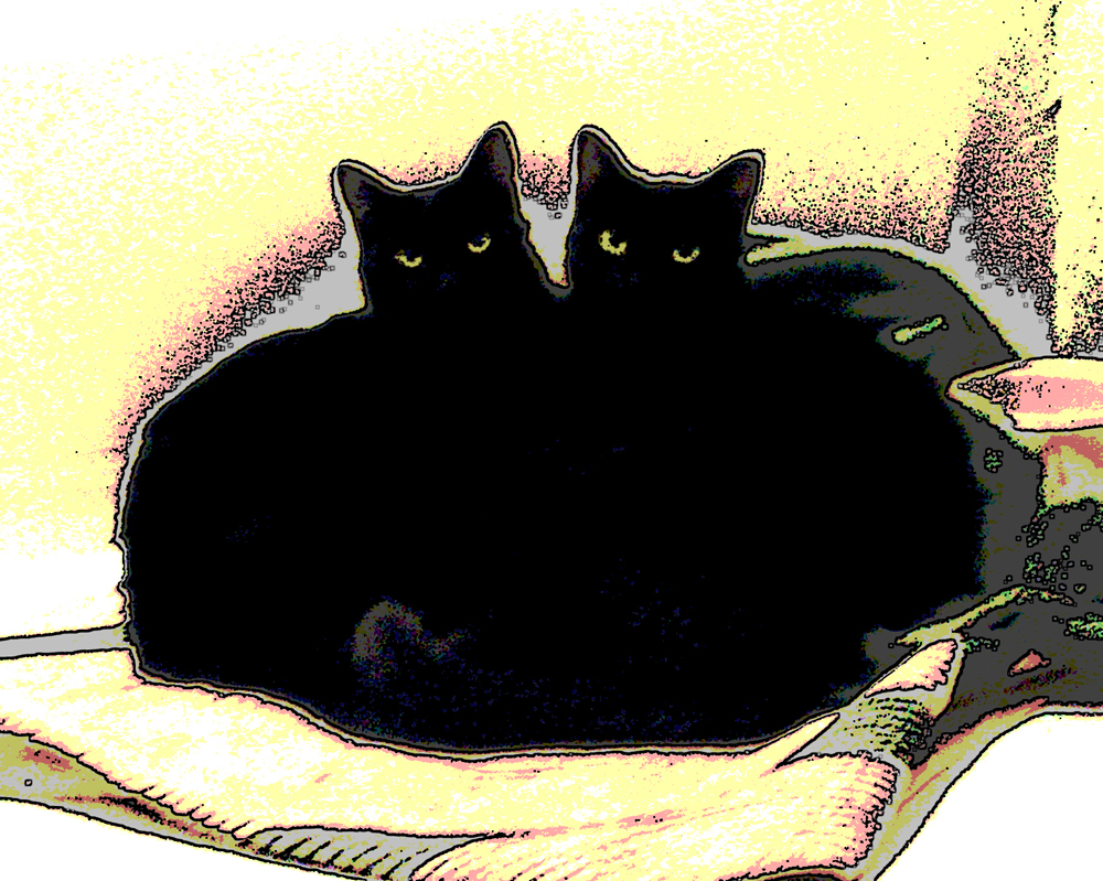 posterized image of two black cats