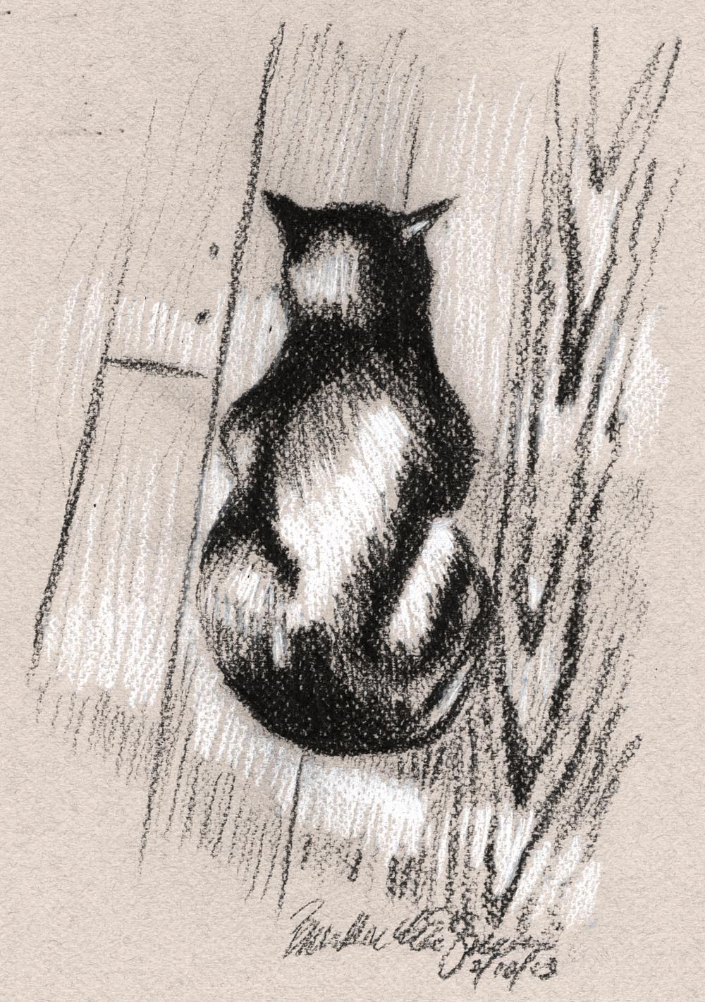 sketch of black cat on floor