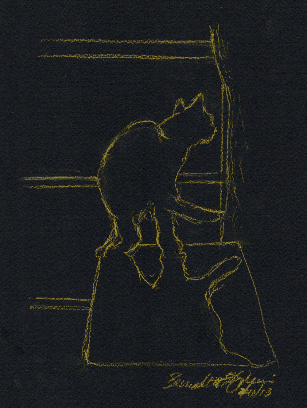 sketch of cat on black paper