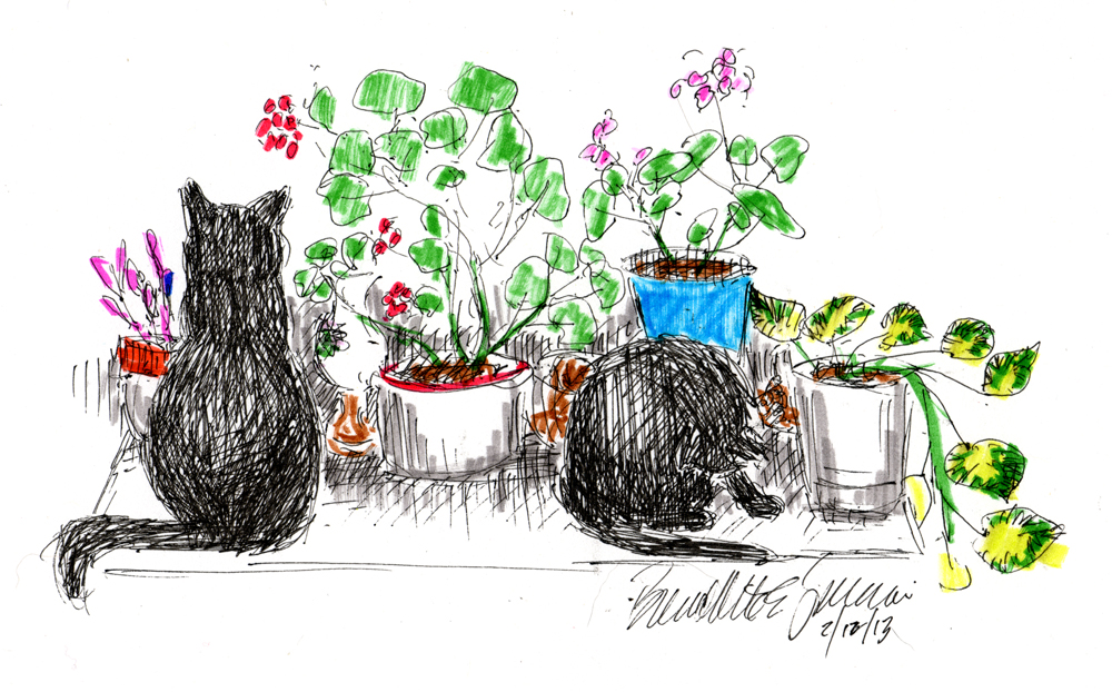 ink and marker sketch of two cats and flowers