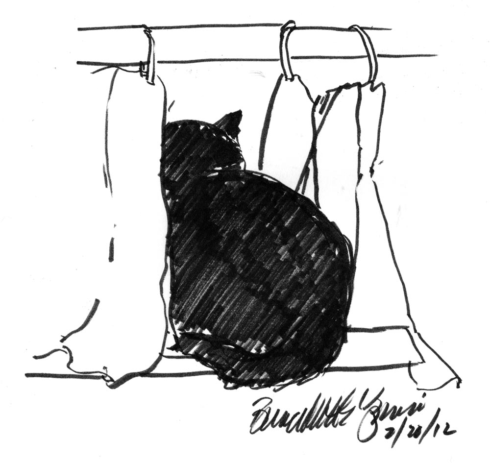 ink sketch of cat peeking through curtains