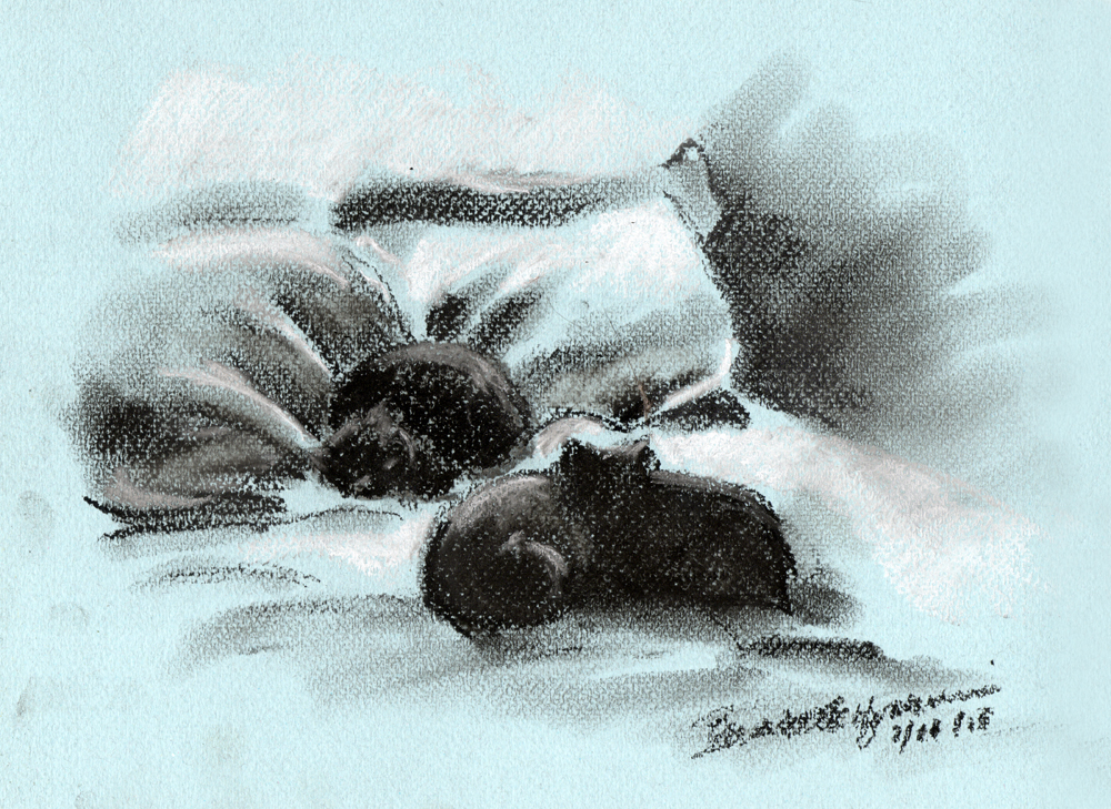 pastel sketch of black cats on bed