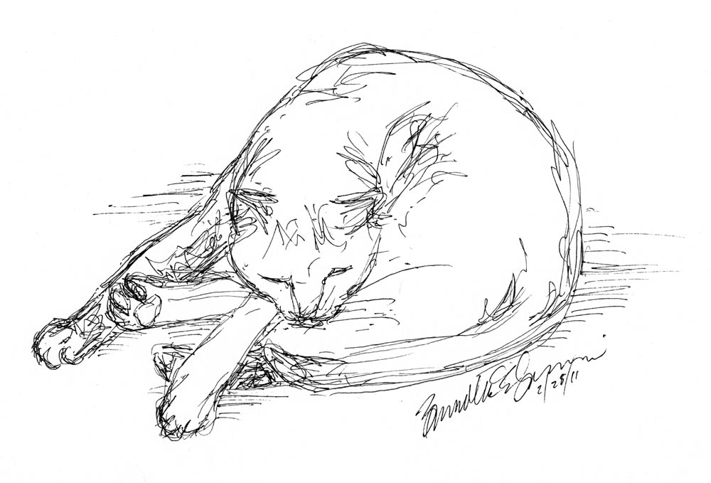 ink sketch of sleeping cat