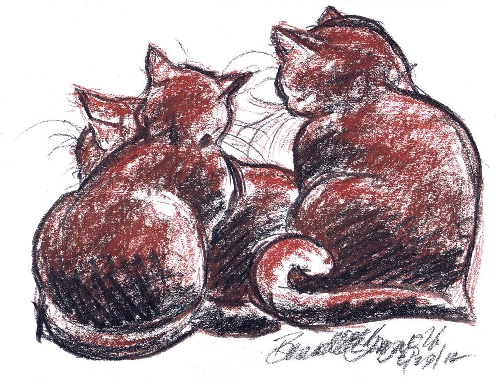 conté and charcoal sketch of cats
