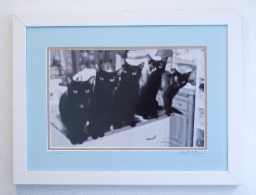 framed photo of five black cats.