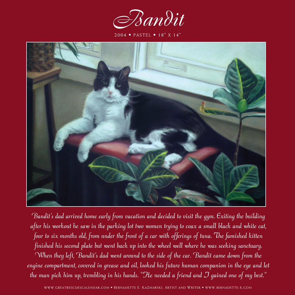 Bandit's page in the Great Rescues Day Book.