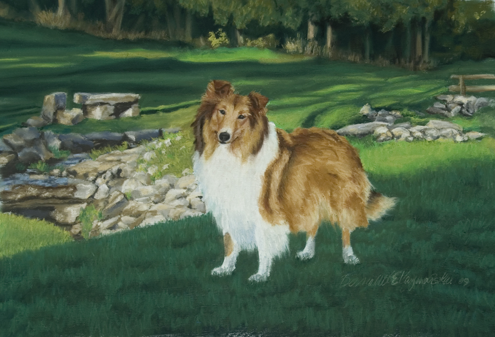 portrait of collie in park
